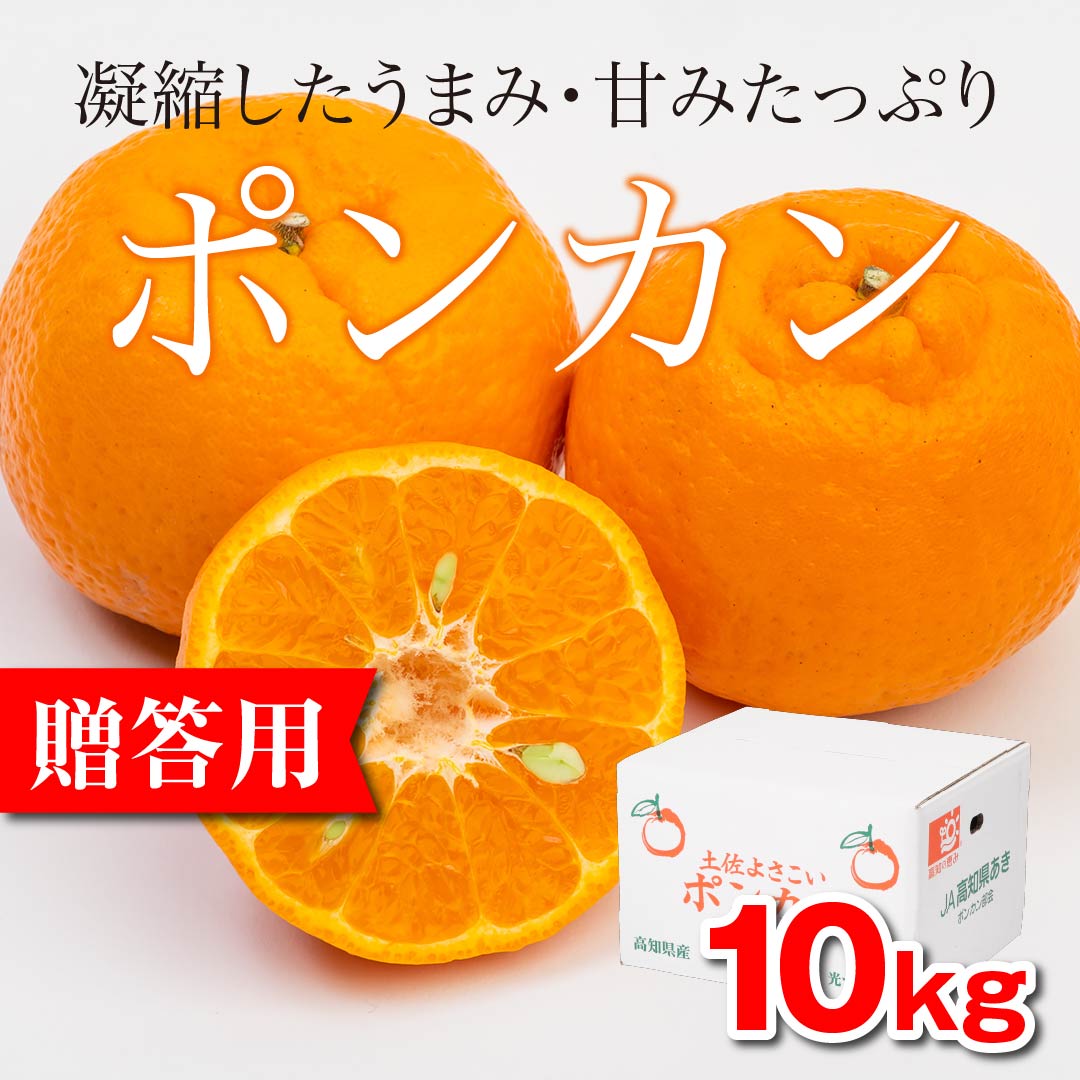 絶妙な甘さが特徴です！「ポンカン」【贈答用】 10kg（秀） | 高知野菜