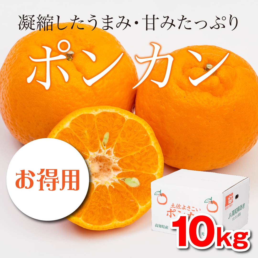 絶妙な甘さが特徴です！「ポンカン」【お得用】　10kg（A品）　高知野菜・果物のお取り寄せなら通販ショップ「とさごろ」