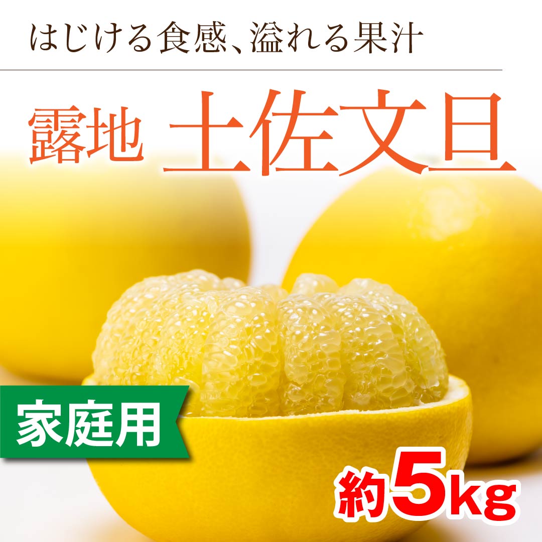 「露地土佐文旦」【数量限定品】10kg | 高知野菜・果物のお ...