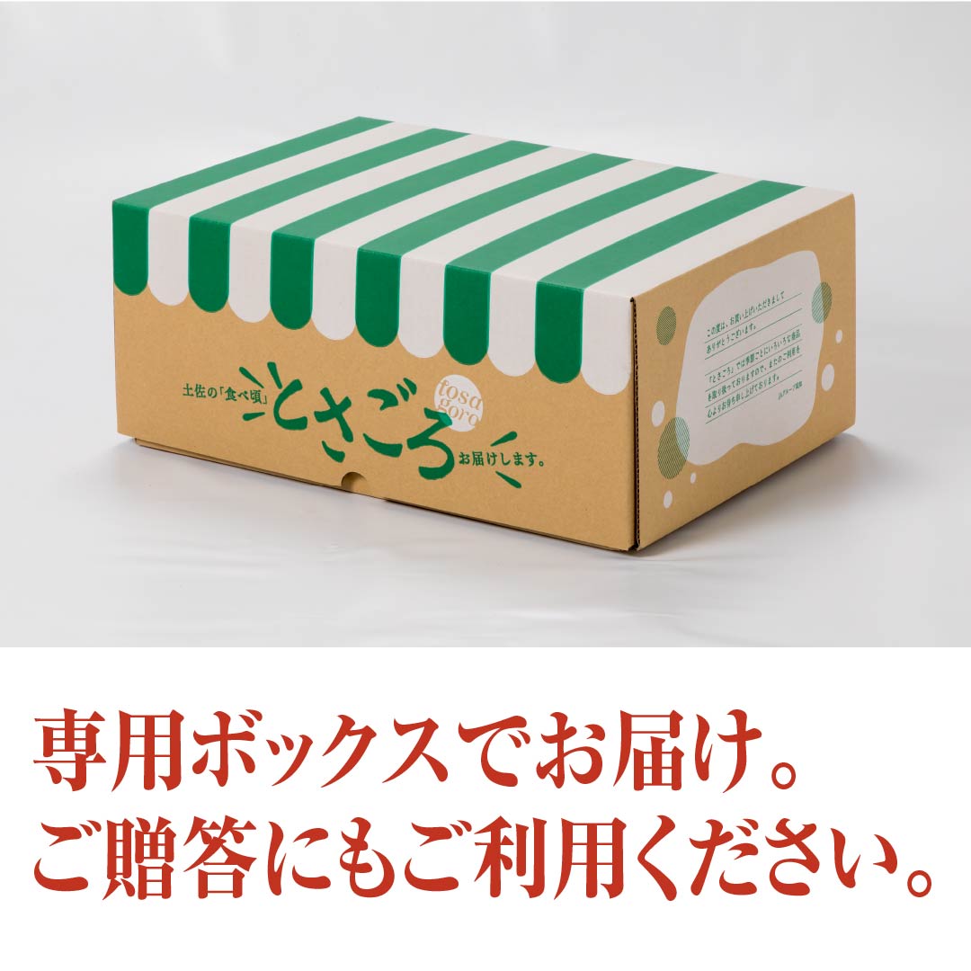 お歳暮商品】フルーツ満喫セット(プリンセスニーナ1玉×ハウス土佐文旦3玉)　高知野菜・果物のお取り寄せなら通販ショップ「とさごろ」