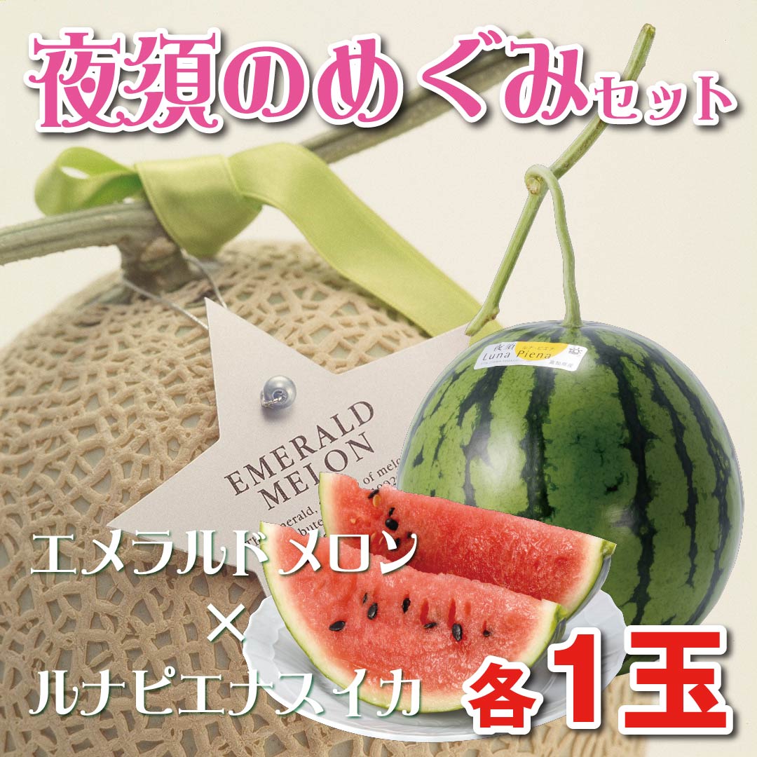 お歳暮商品】夜須のめぐみセット(エメラルドメロン×ルナピエナスイカ　各1玉)　高知野菜・果物のお取り寄せなら通販ショップ「とさごろ」