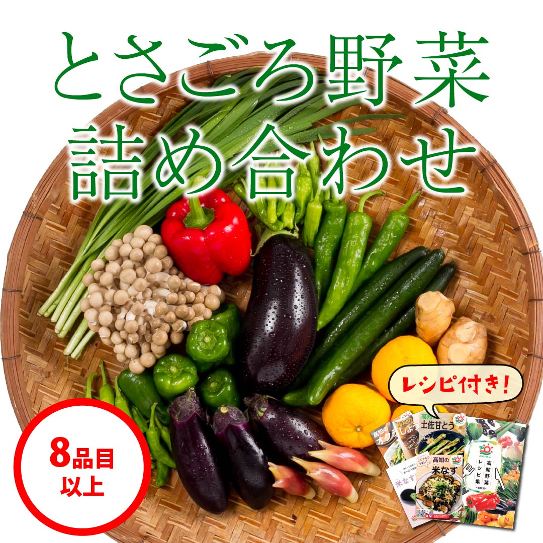 木曜発送】土佐の食べ頃お届けします！「とさごろ野菜詰め合わせ」　高知野菜・果物のお取り寄せなら通販ショップ「とさごろ」