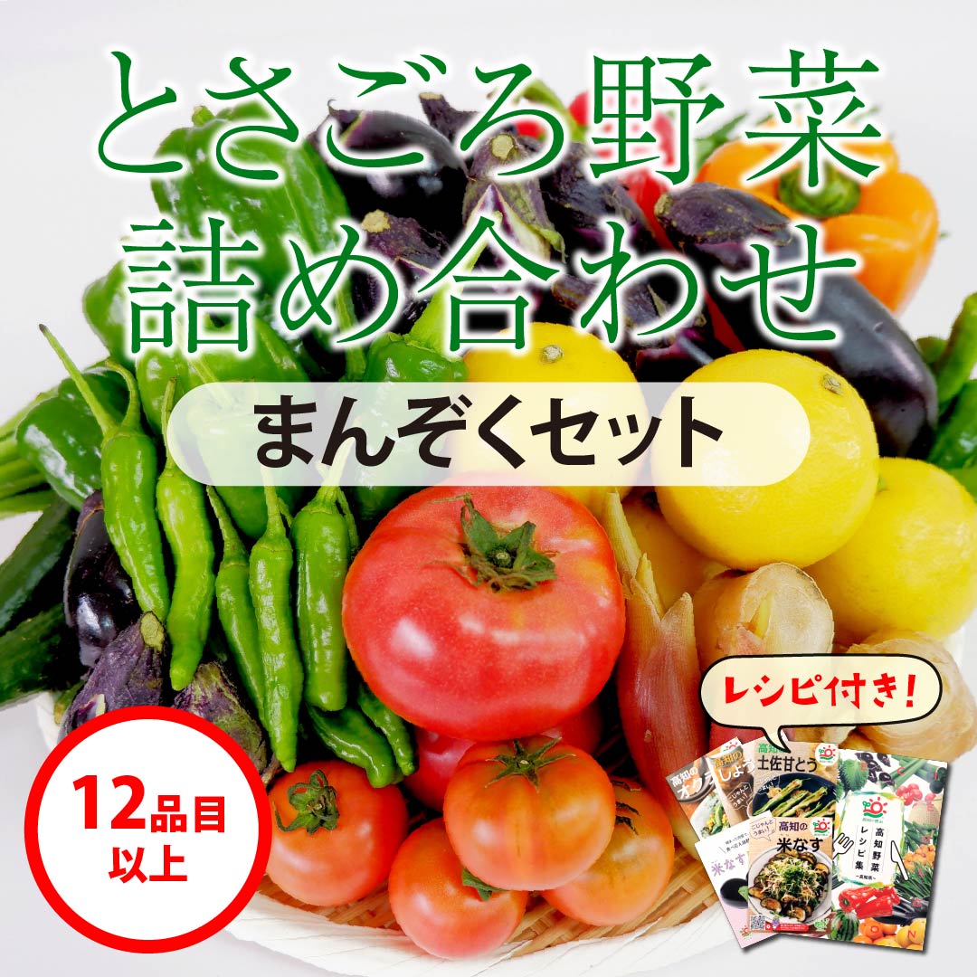 木曜発送】土佐の食べ頃たっぷりお届け！「とさごろ野菜詰め合わせ」【まんぞくセット】　高知野菜・果物のお取り寄せなら通販ショップ「とさごろ」