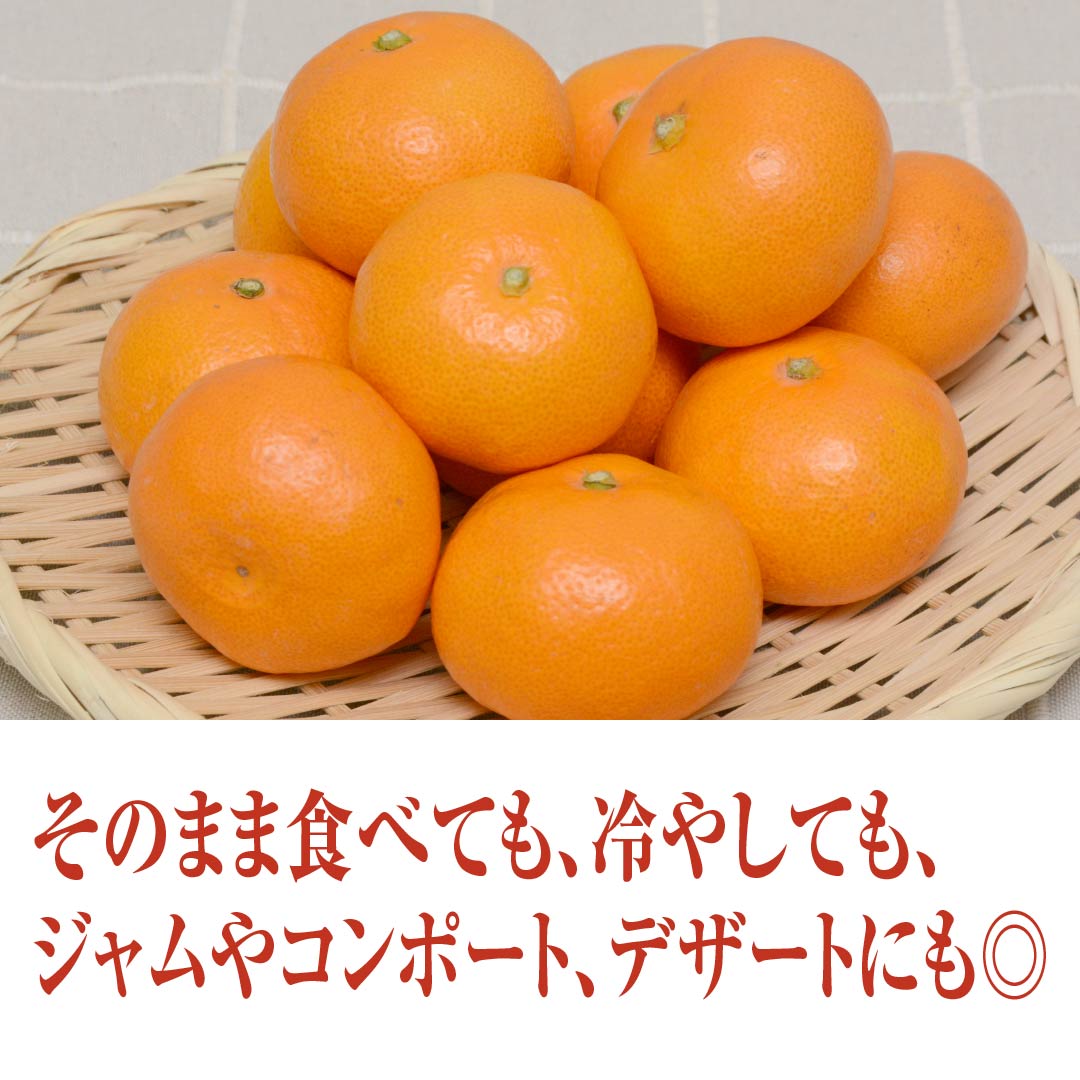 高品質 甘～い 訳あり ハウスみかん 5kg c