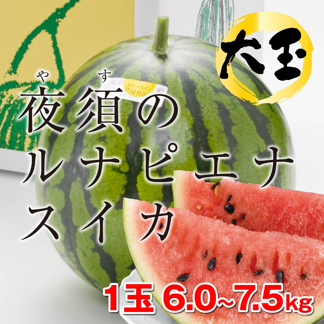 大玉スイカ「ルナピエナスイカ」　高知野菜・果物のお取り寄せなら通販ショップ「とさごろ」