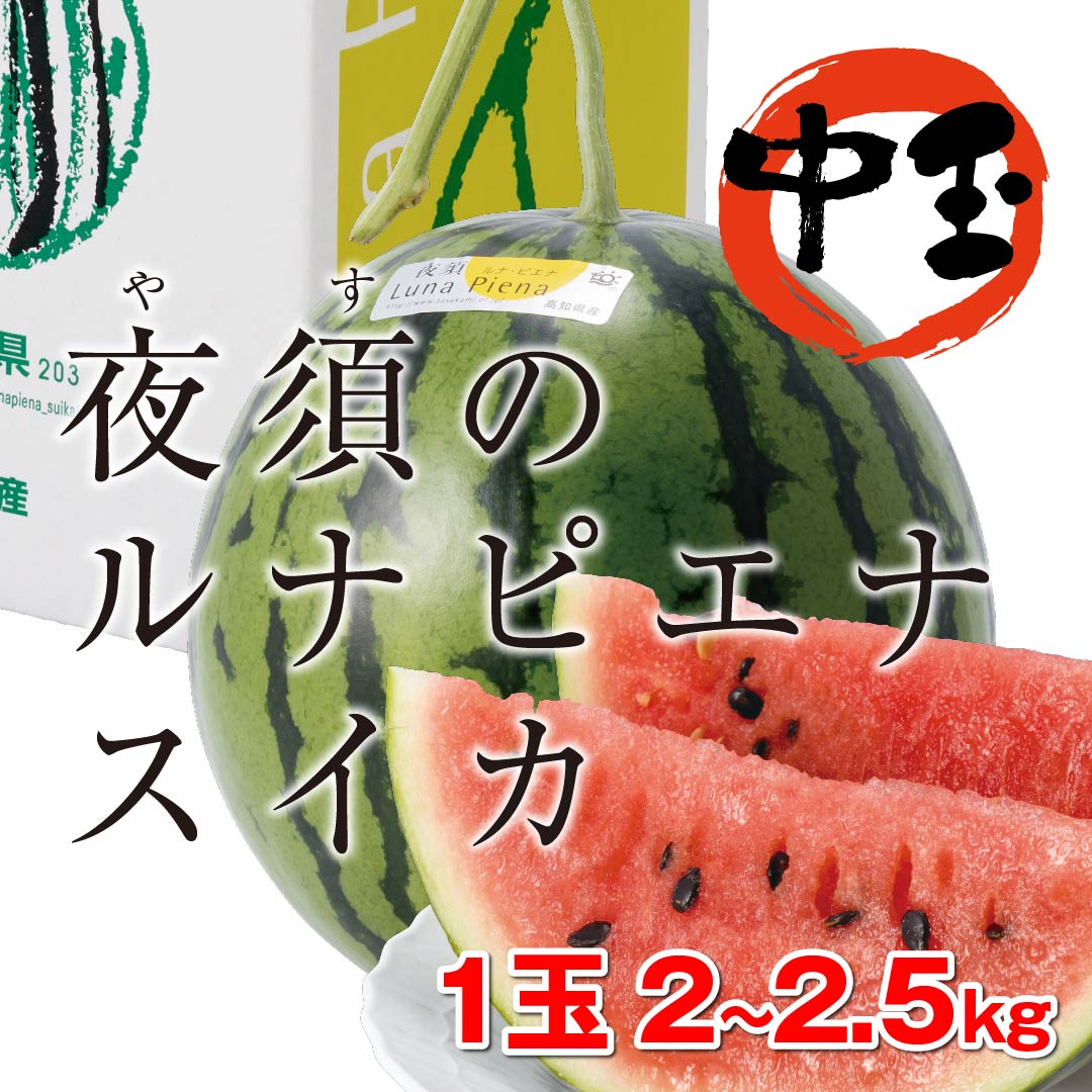 ルナピエナスイカ」(中玉)1玉　高知野菜・果物のお取り寄せなら通販ショップ「とさごろ」