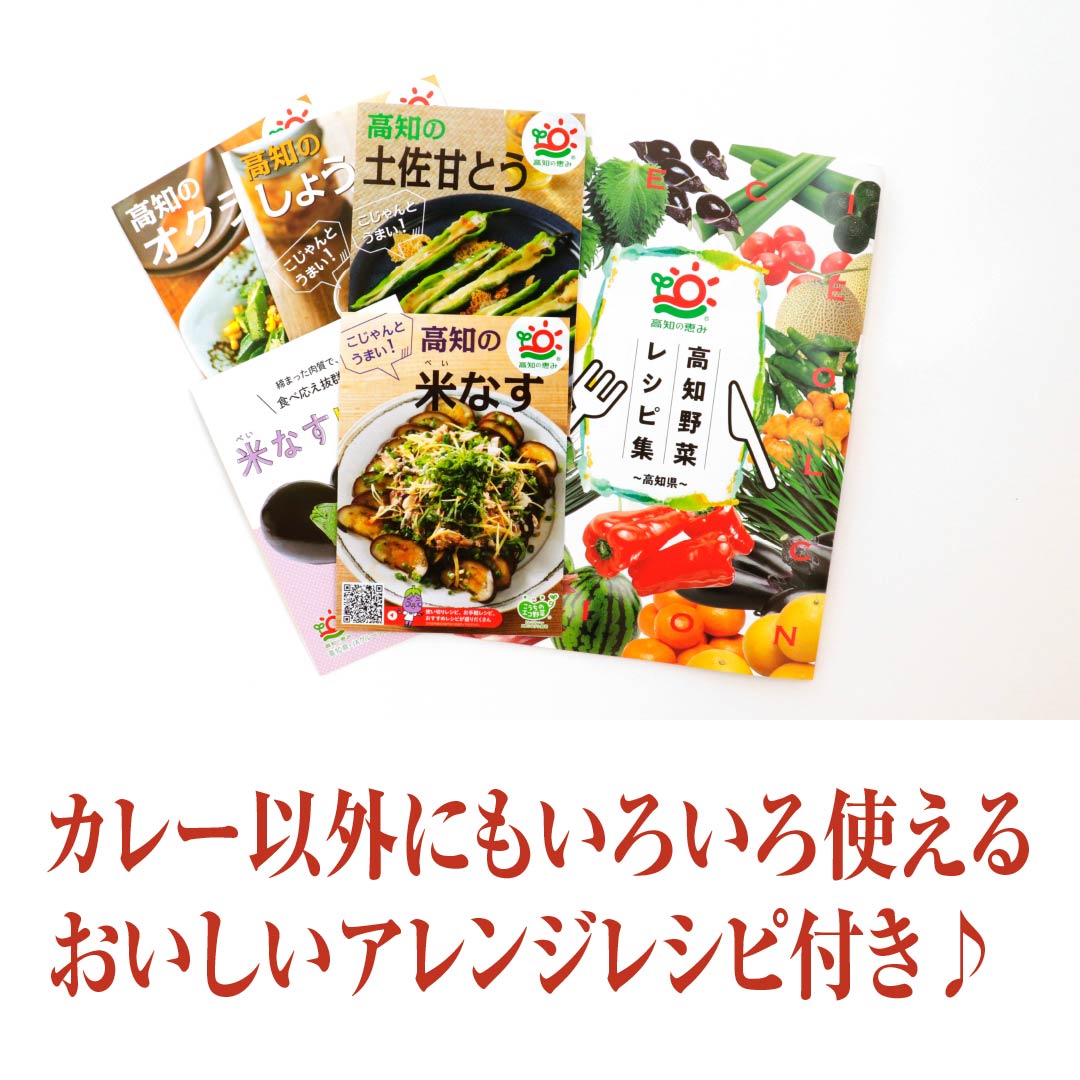 高知家自慢の夏野菜スタミナチキンカレーセット」【四万十鶏ももスライス(200g)2パック付き】　高知野菜・果物のお取り寄せなら通販ショップ「とさごろ」