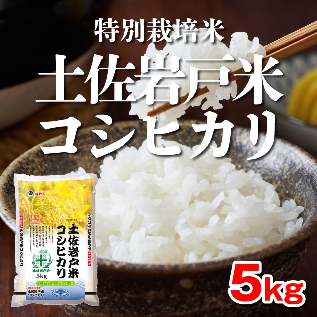 新米 コシヒカリ 令和5年産 5㎏(上白米で5㎏)