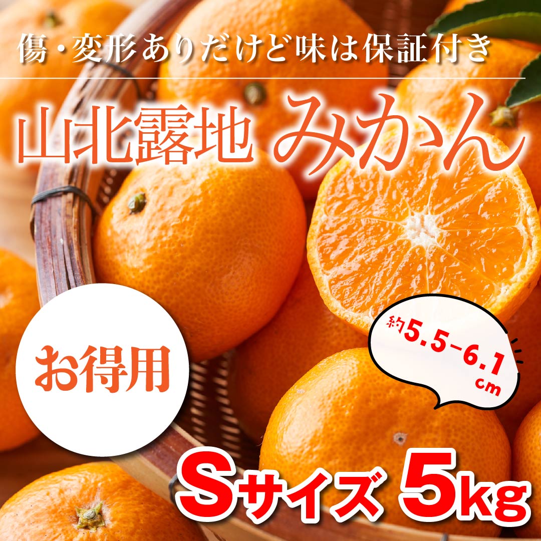 ほどよい酸味とコク「山北露地みかん」（特秀）5kg【贈答用】Sサイズ ...