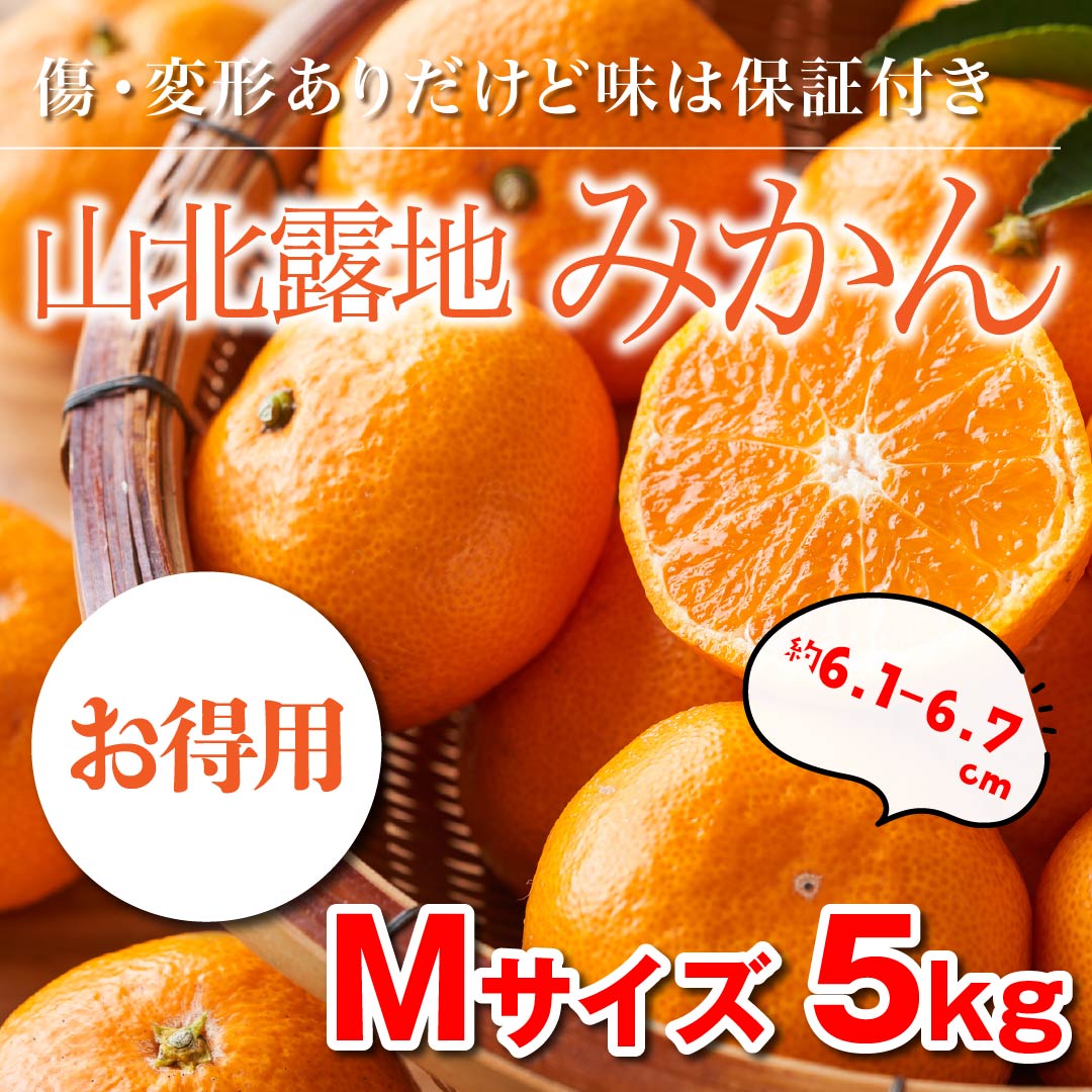 ほどよい酸味とコク「山北露地みかん」（緑秀）5kg【お得用】Mサイズ　高知野菜・果物のお取り寄せなら通販ショップ「とさごろ」