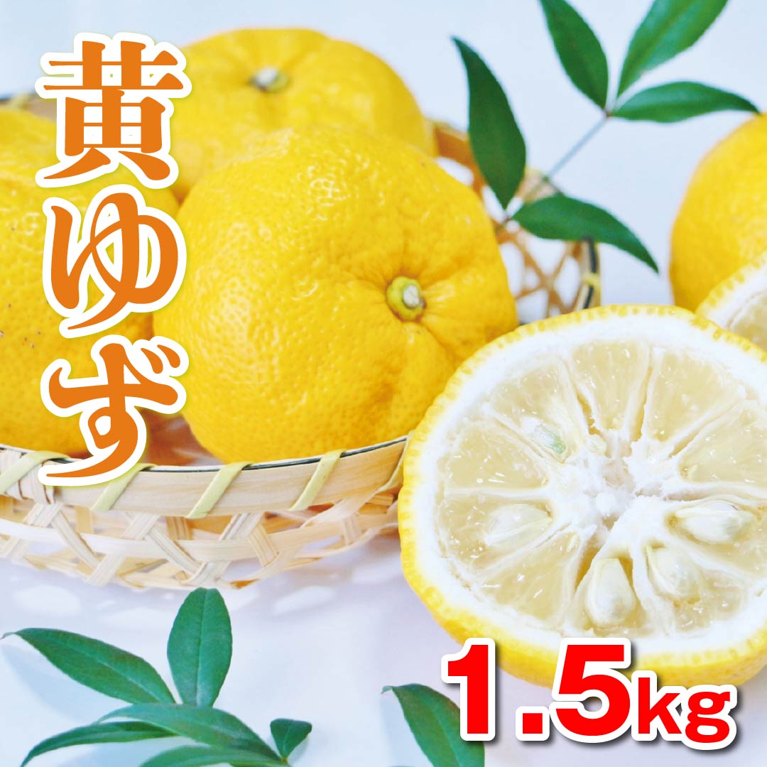 爽やかな香り！「黄ゆず」1.5kg 丸A2L | 高知野菜・果物のお取り寄せ