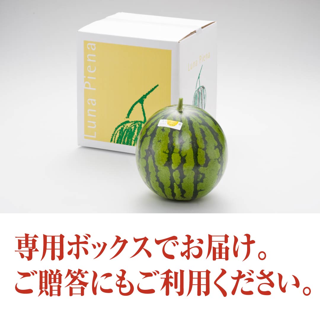 大玉スイカ「ルナピエナスイカ」　高知野菜・果物のお取り寄せなら通販ショップ「とさごろ」