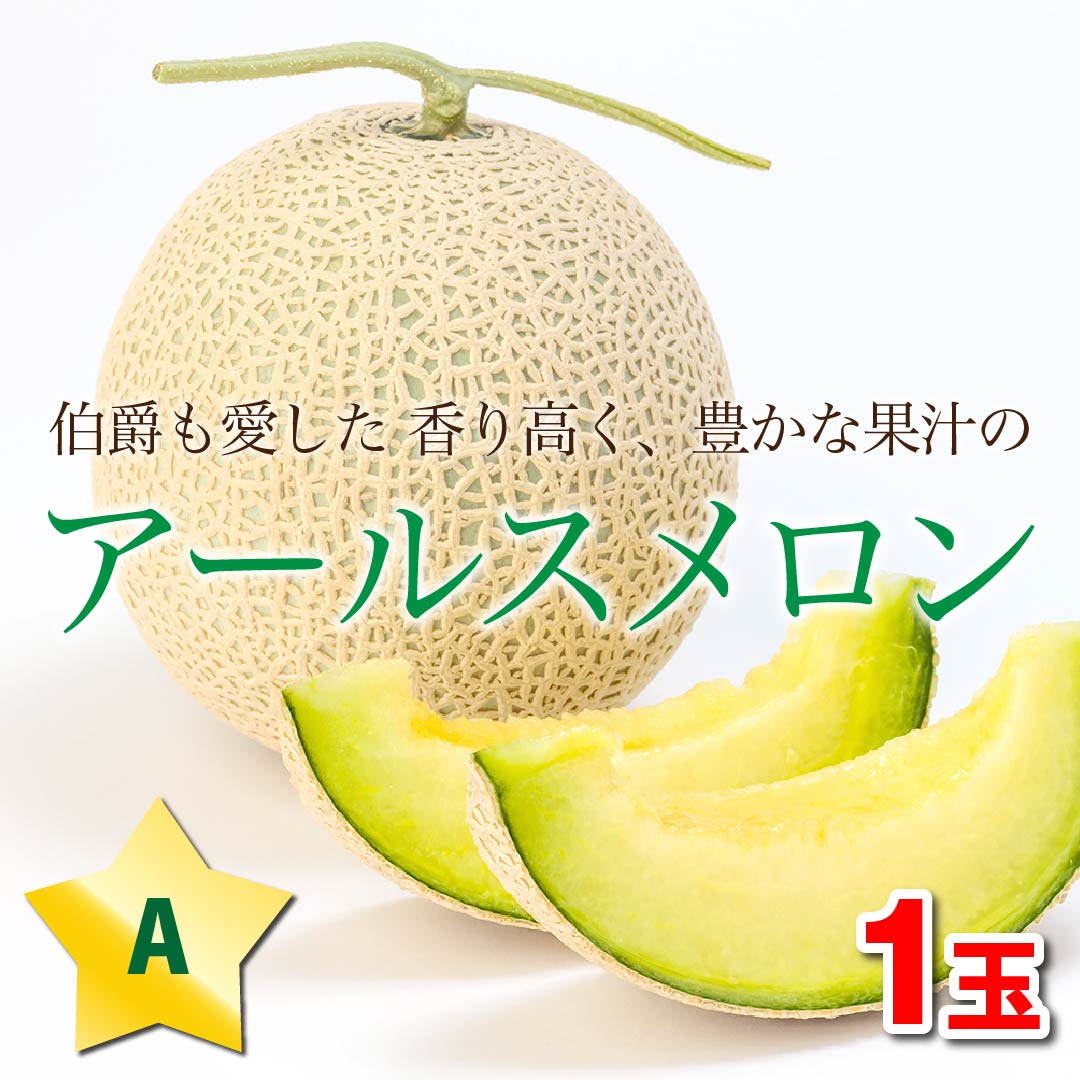 アールスメロン」(春野産)【A】1玉　高知野菜・果物のお取り寄せなら通販ショップ「とさごろ」