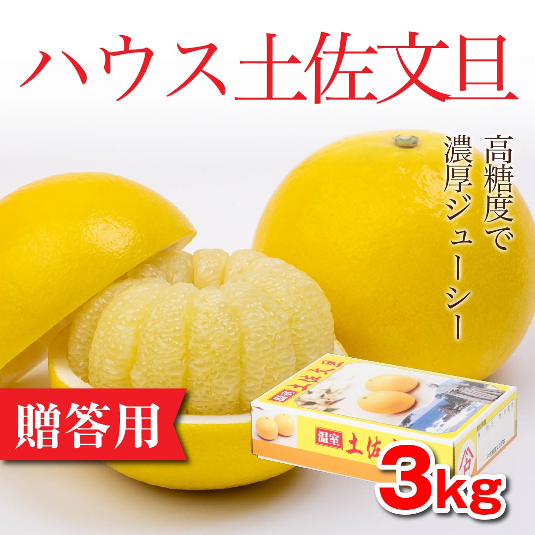 お取り寄せ】「ハウス土佐文旦」3kg【贈答用】　高知野菜・果物のお取り寄せなら通販ショップ「とさごろ」