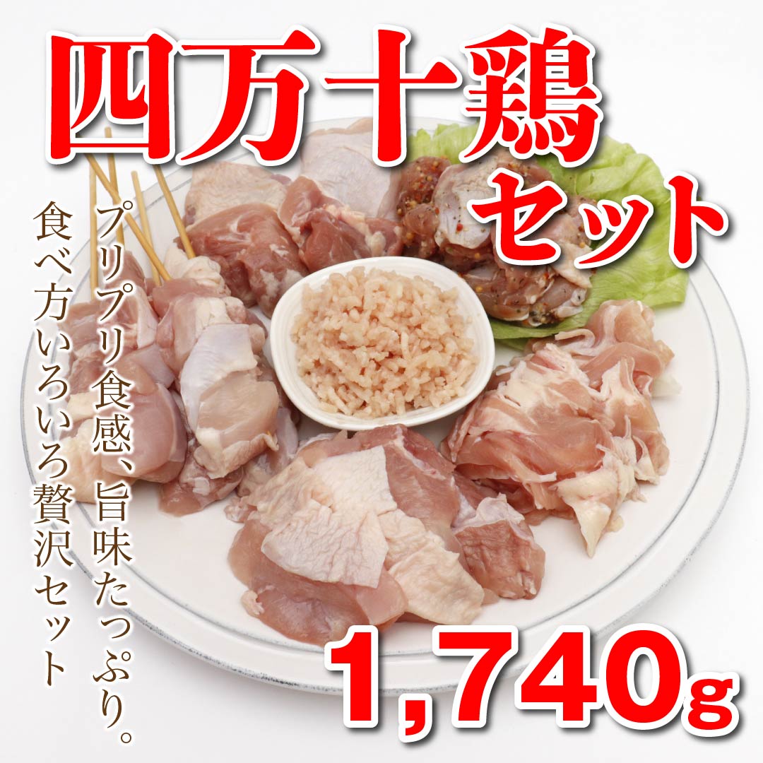 高知県の銘柄鶏四万十鶏セット6点冷凍   高知野菜・果物の