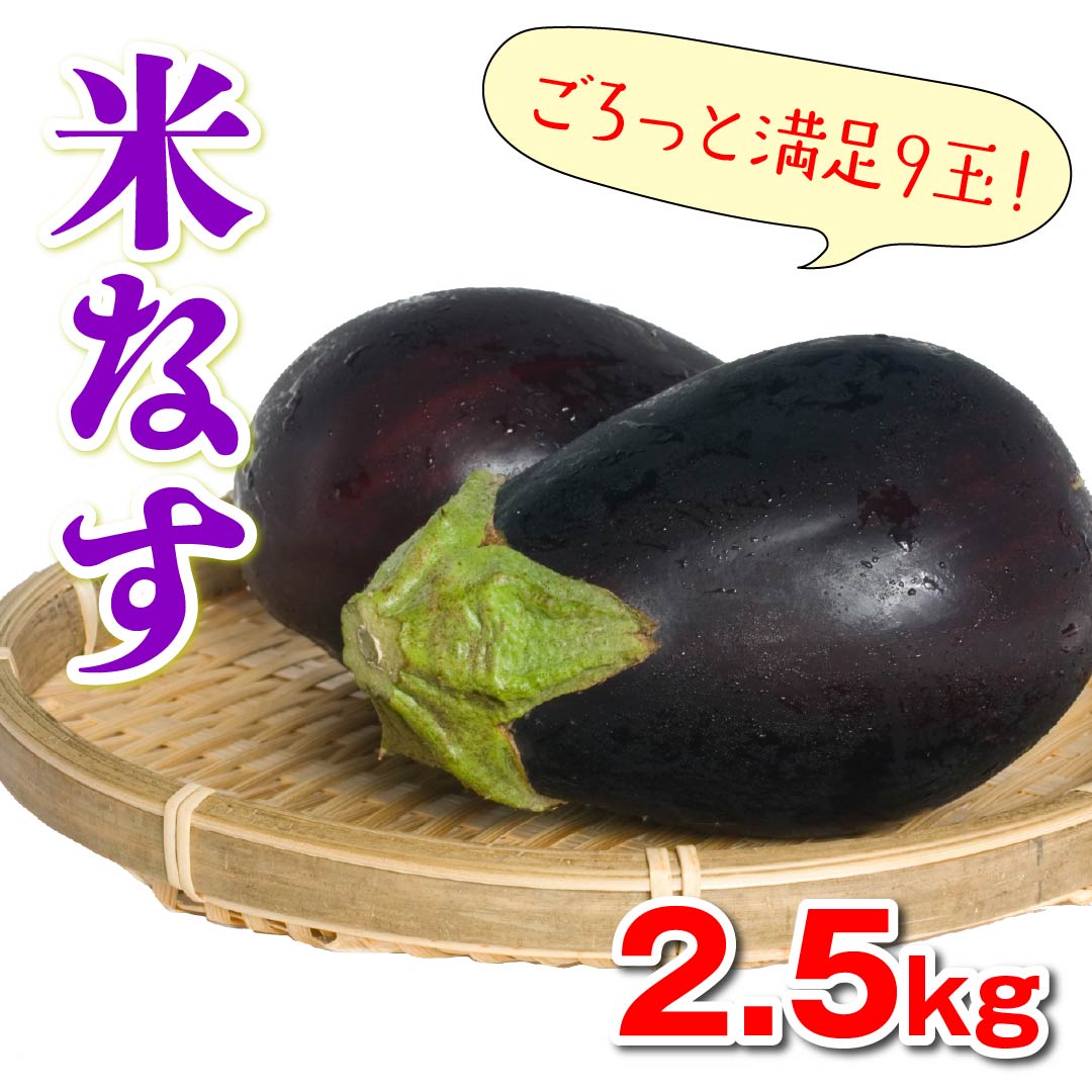 高知県産小茄子（５個）　価格比較