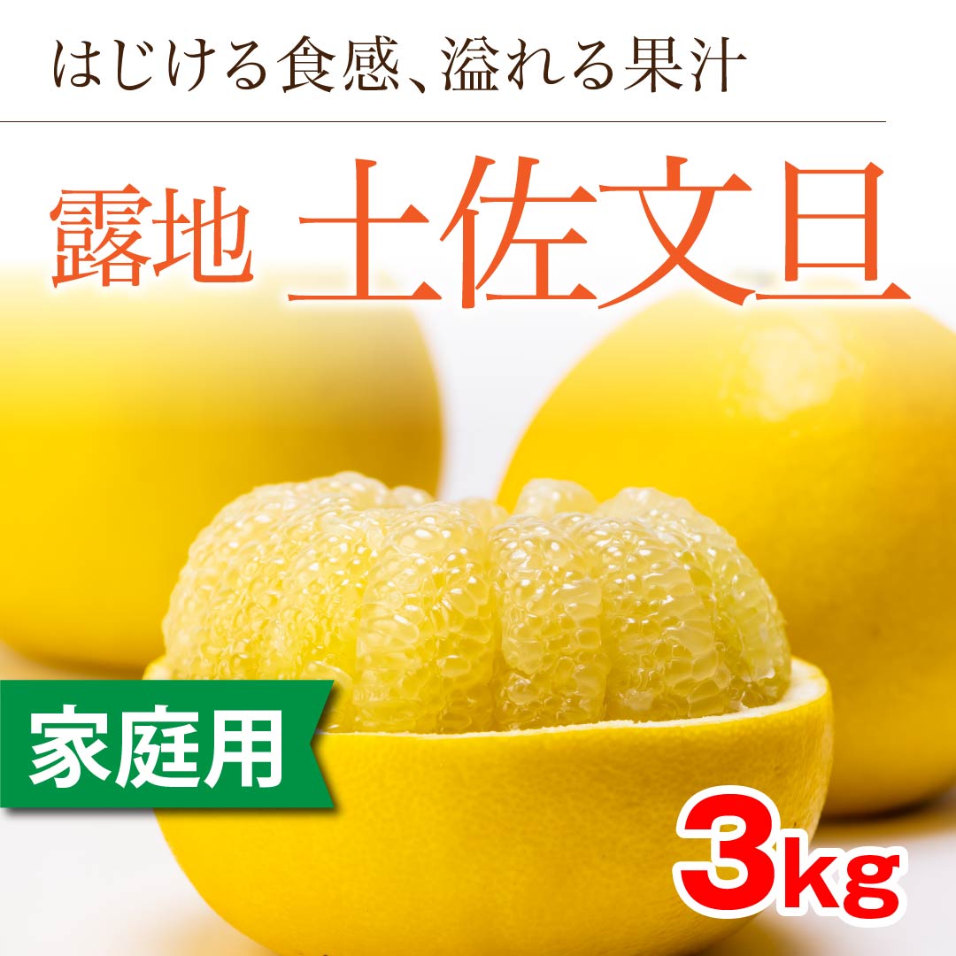「露地土佐文旦」【家庭用】10kg（ ） | 高知野菜・果物のお ...