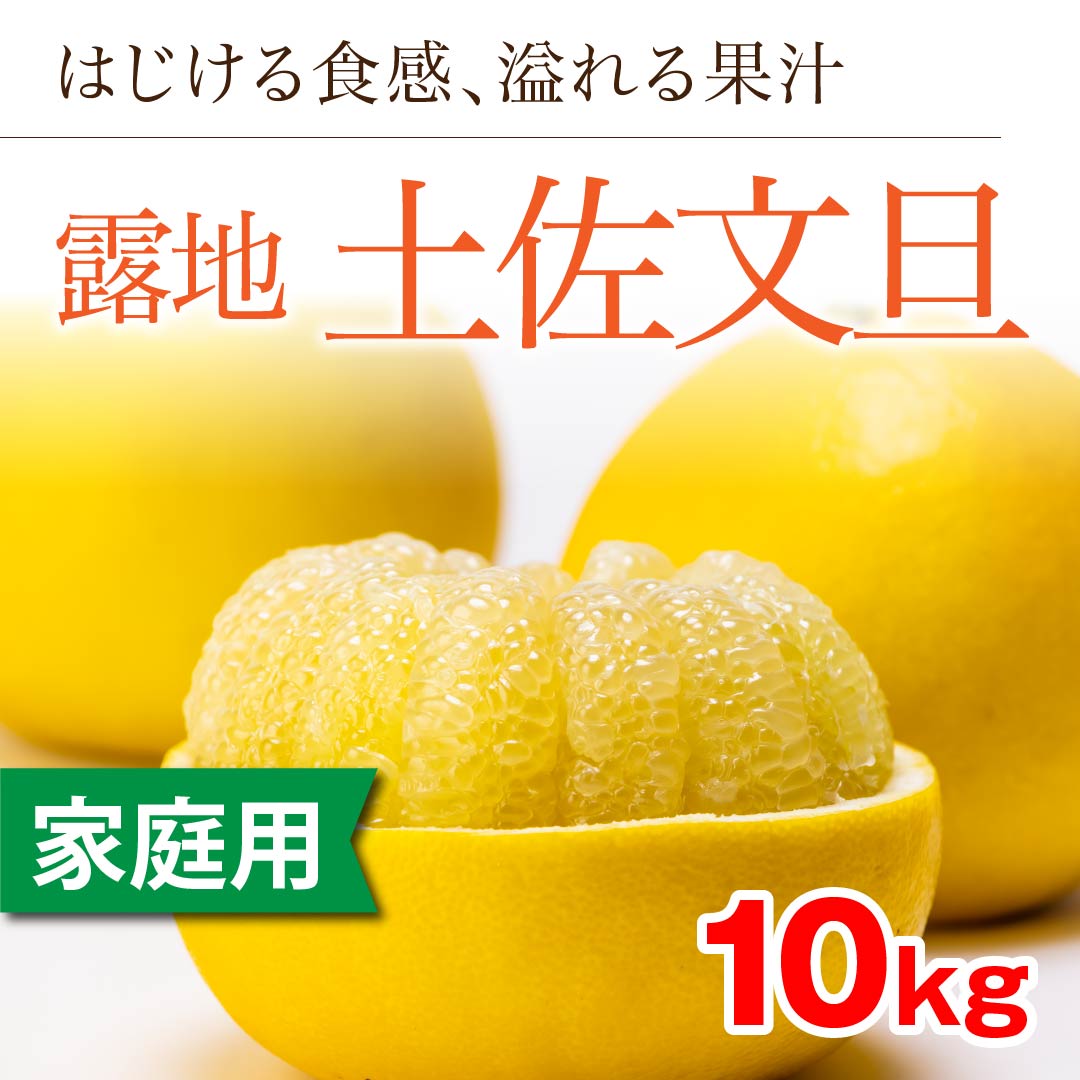 露地土佐文旦」【家庭用】10kg（◎○）　高知野菜・果物のお取り寄せなら通販ショップ「とさごろ」