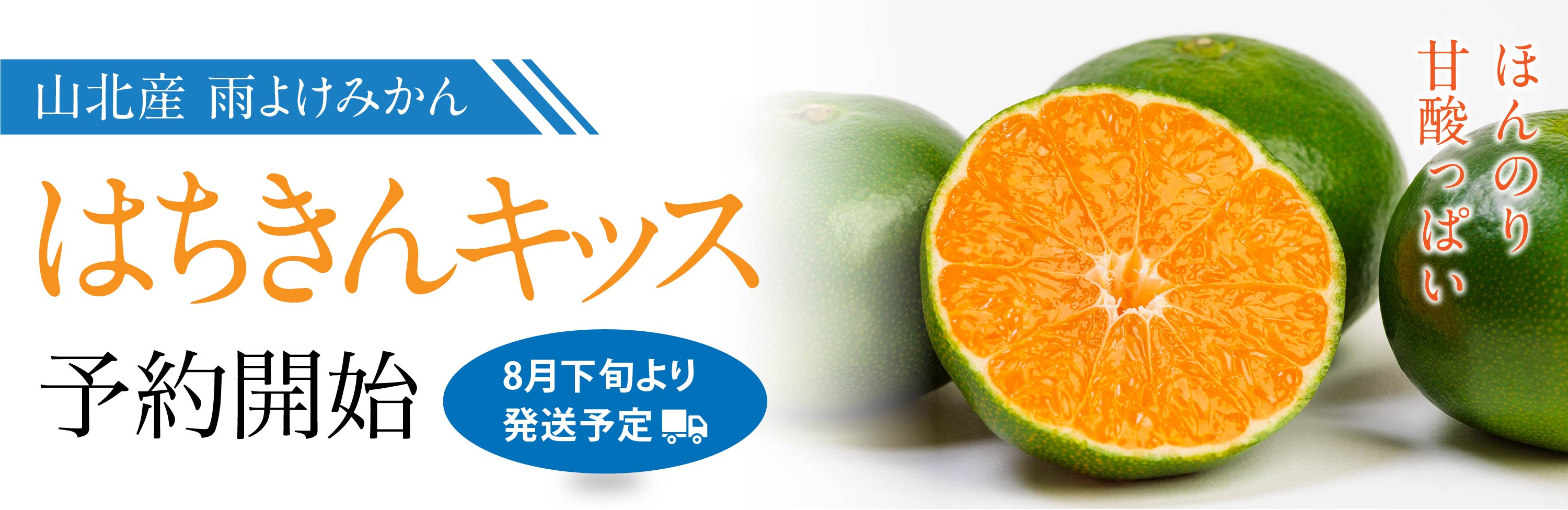 雨よけみかん