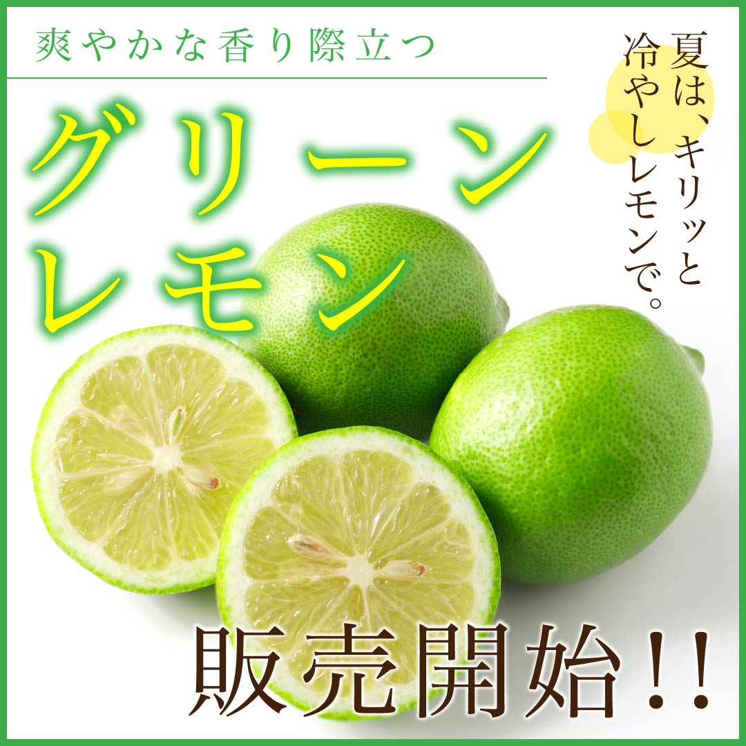 高知野菜・果物のお取り寄せなら通販ショップ「とさごろ」