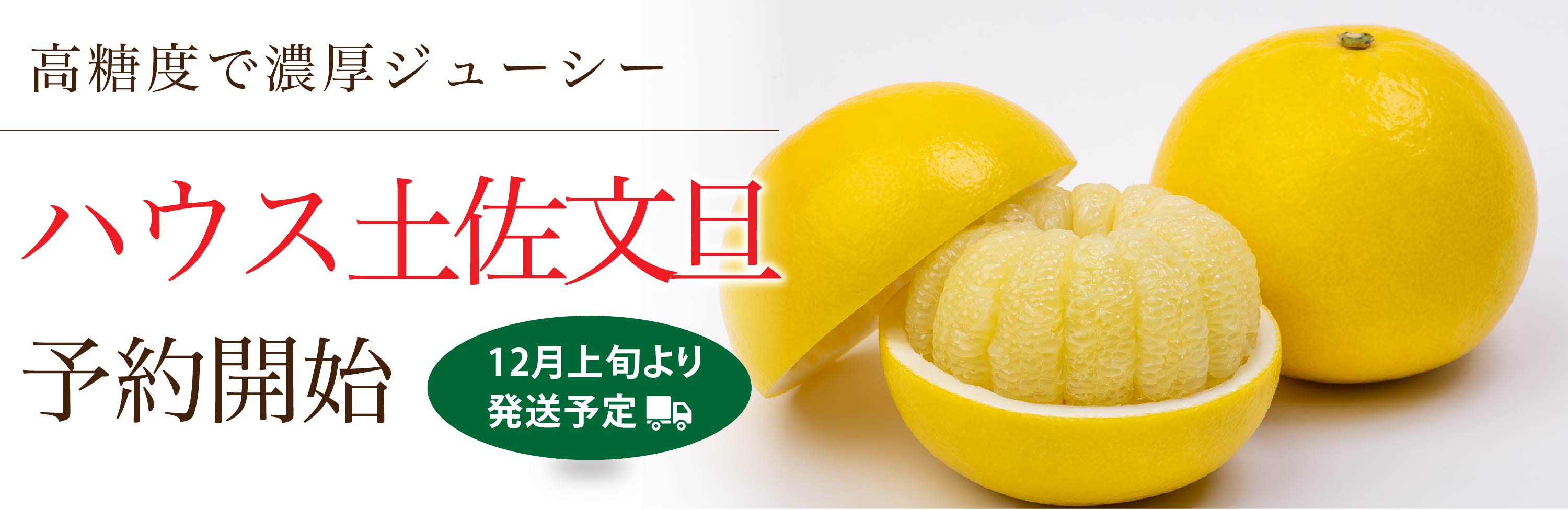 ハウス土佐文旦