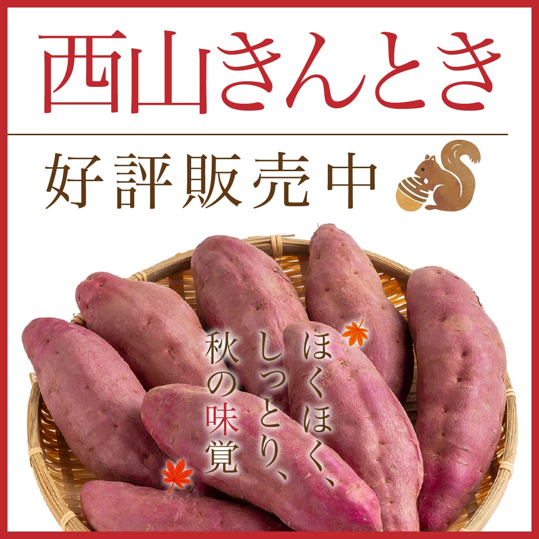 西山きんとき