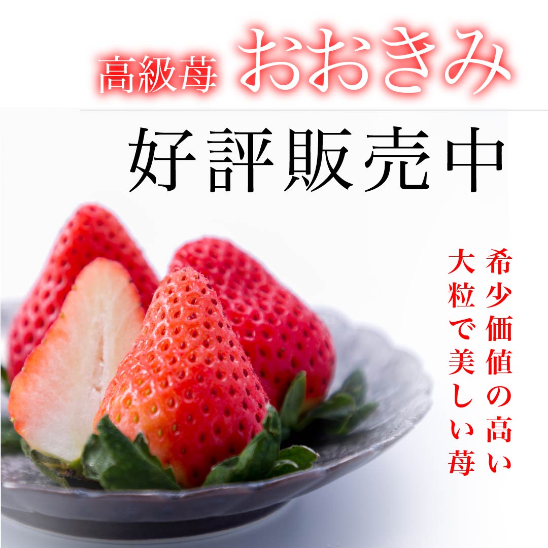 苺おおきみ
