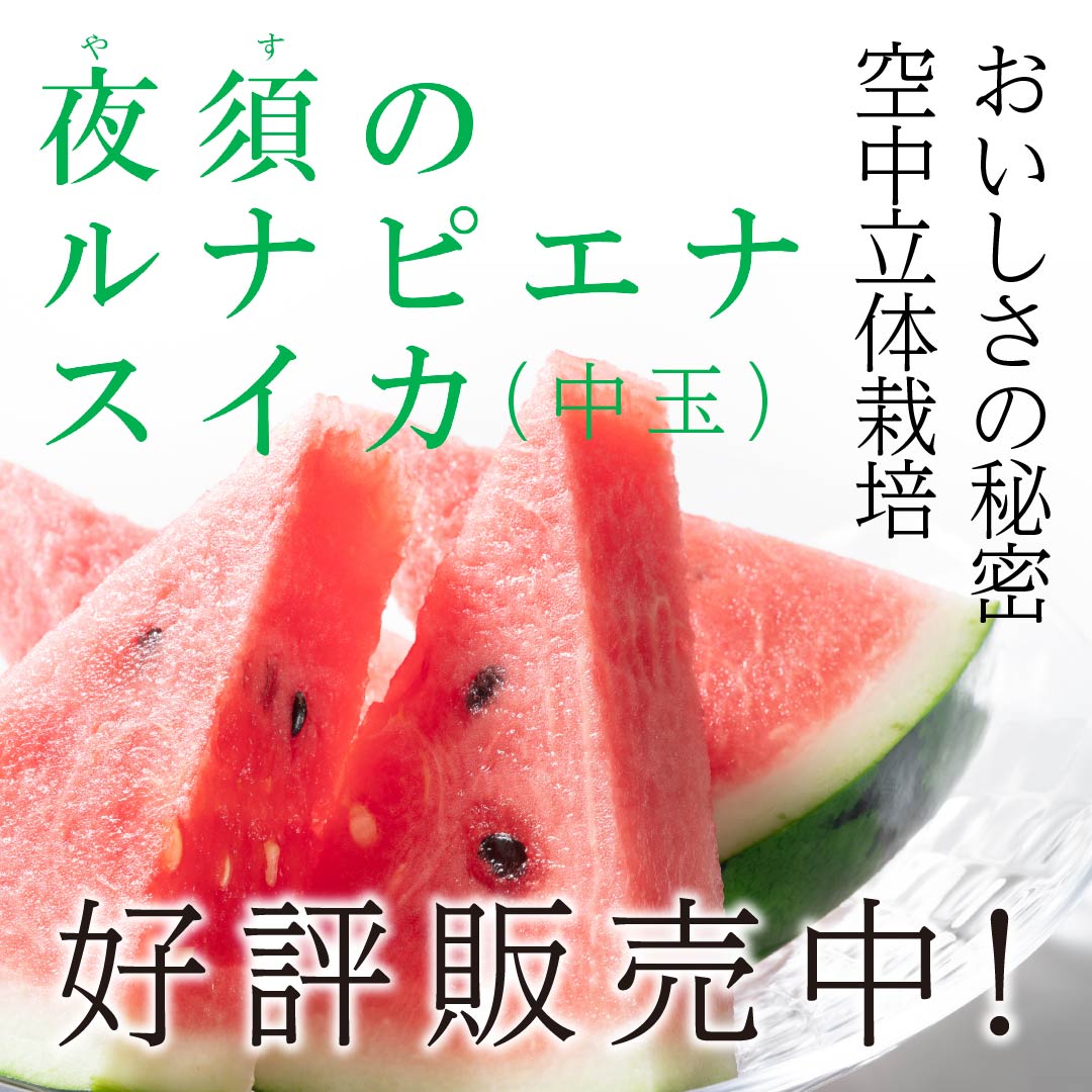 3温室スイカ、収穫次第発送3〜4玉入り17〜19キロ、全国送料込み