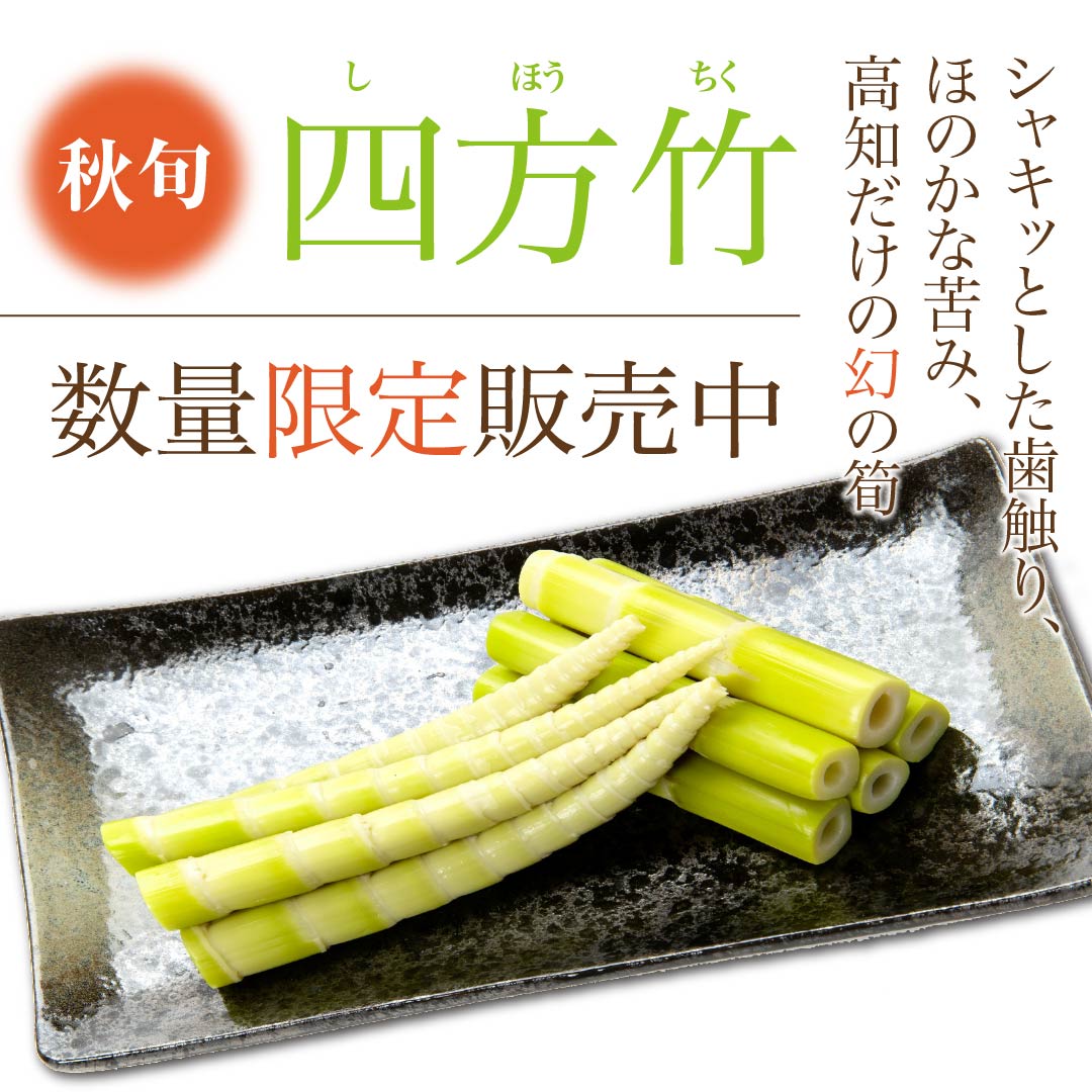 四方竹