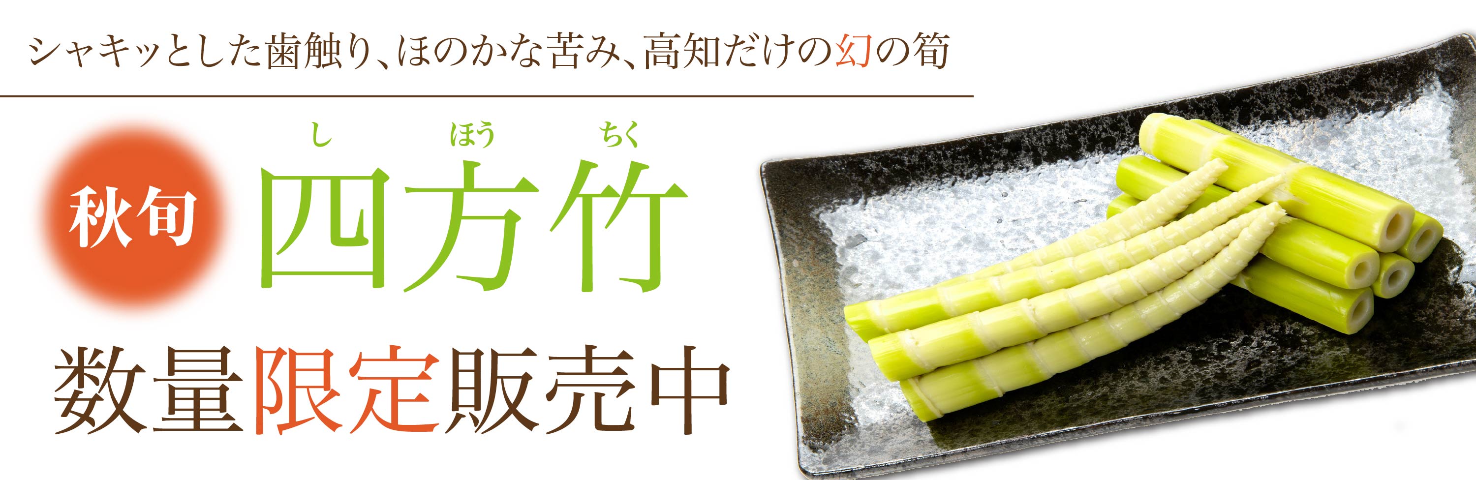 四方竹