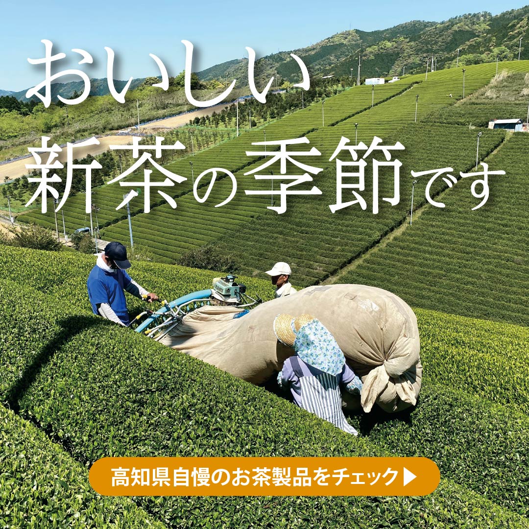 新茶