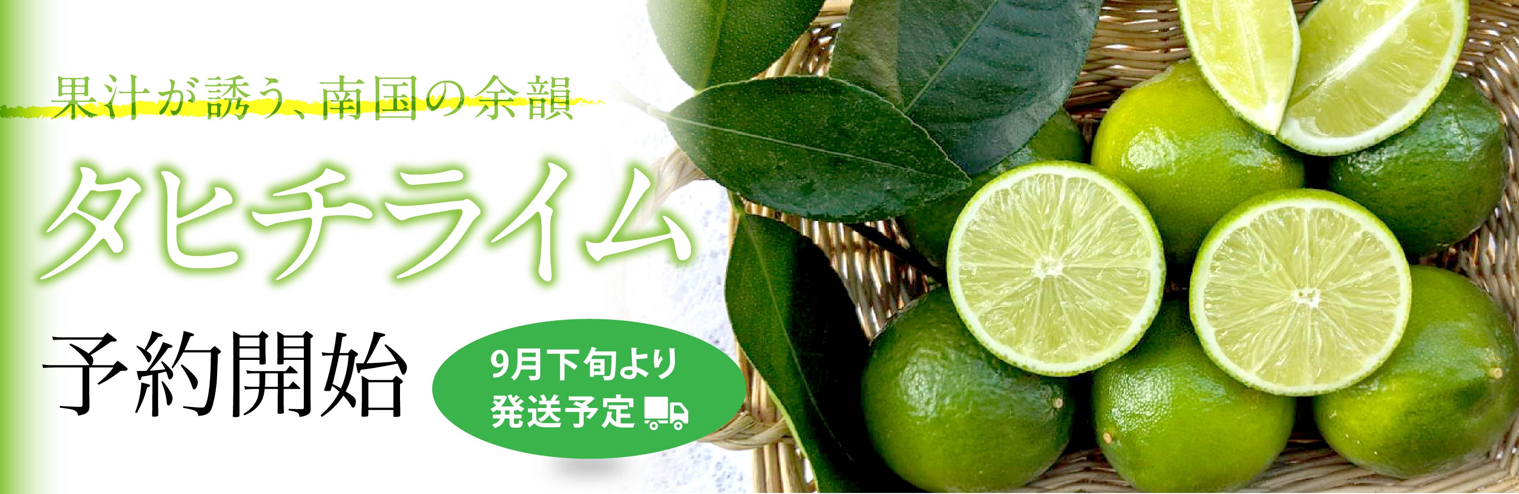 タヒチライム