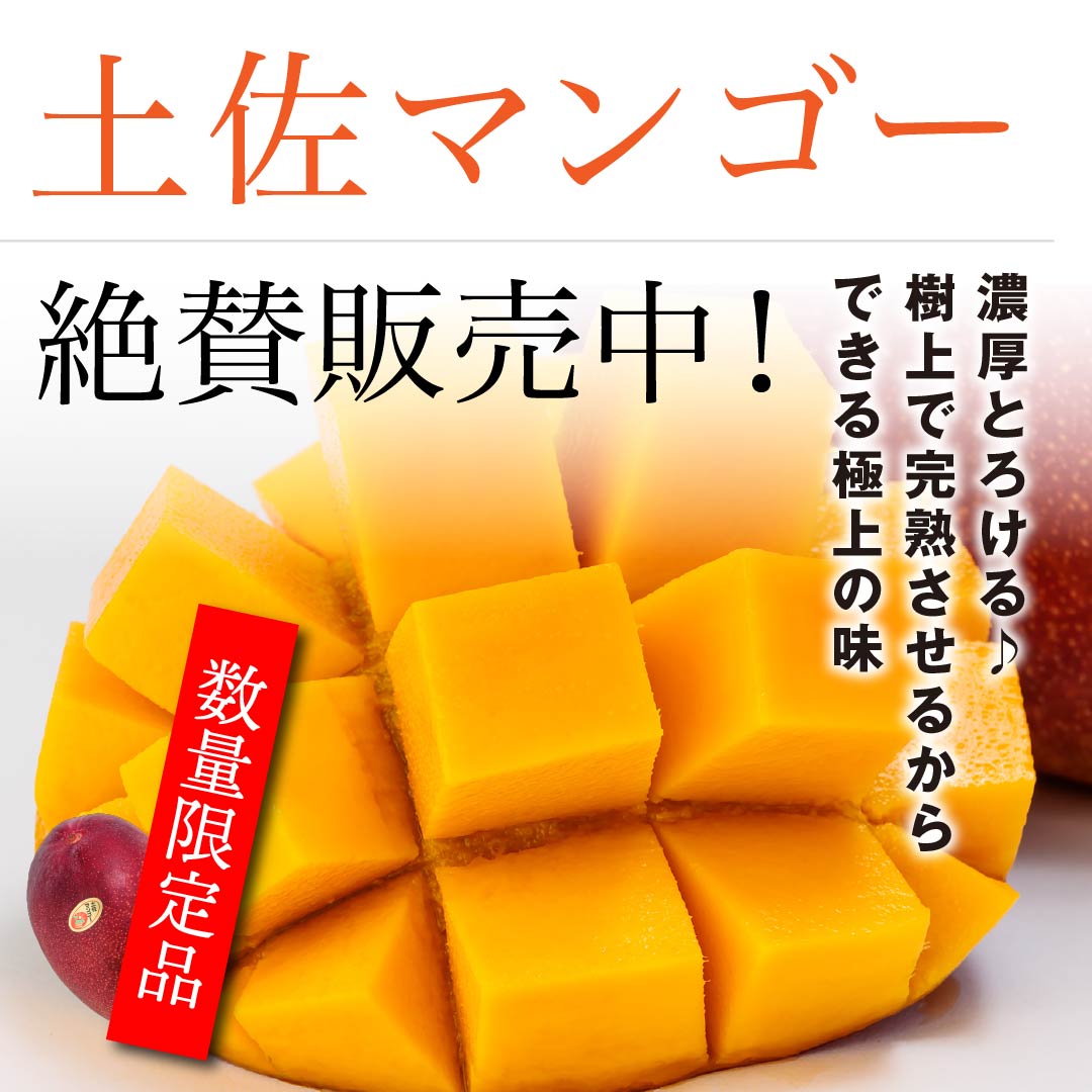 マンゴー