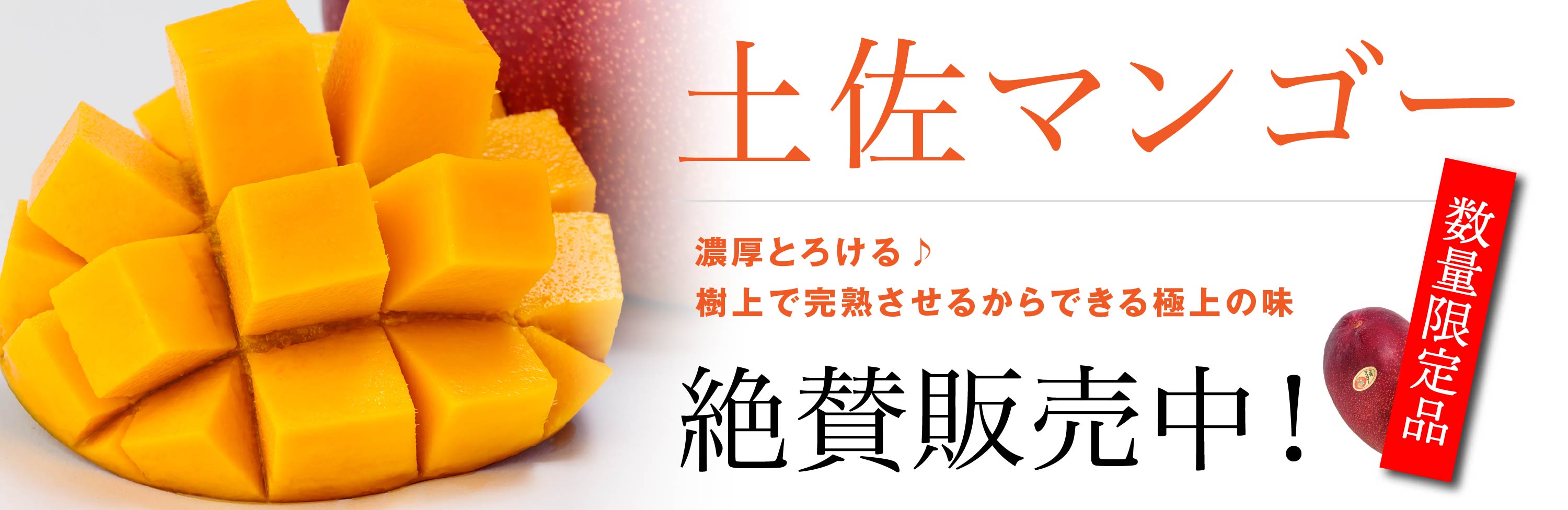 マンゴー