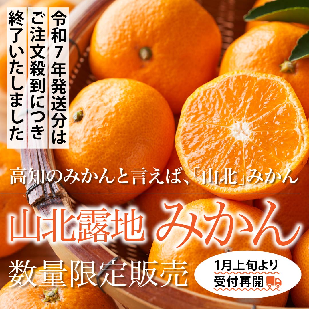 山北露地みかん