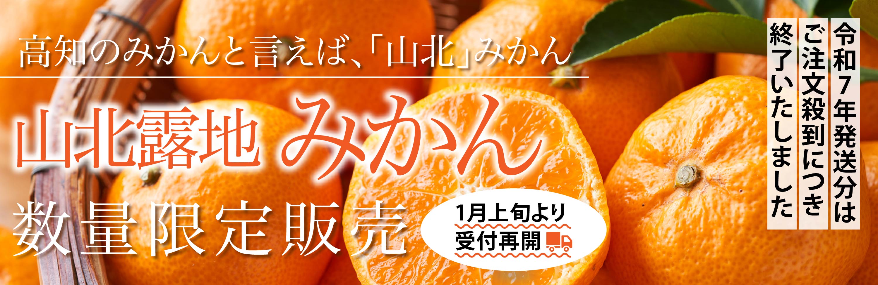 山北露地みかん