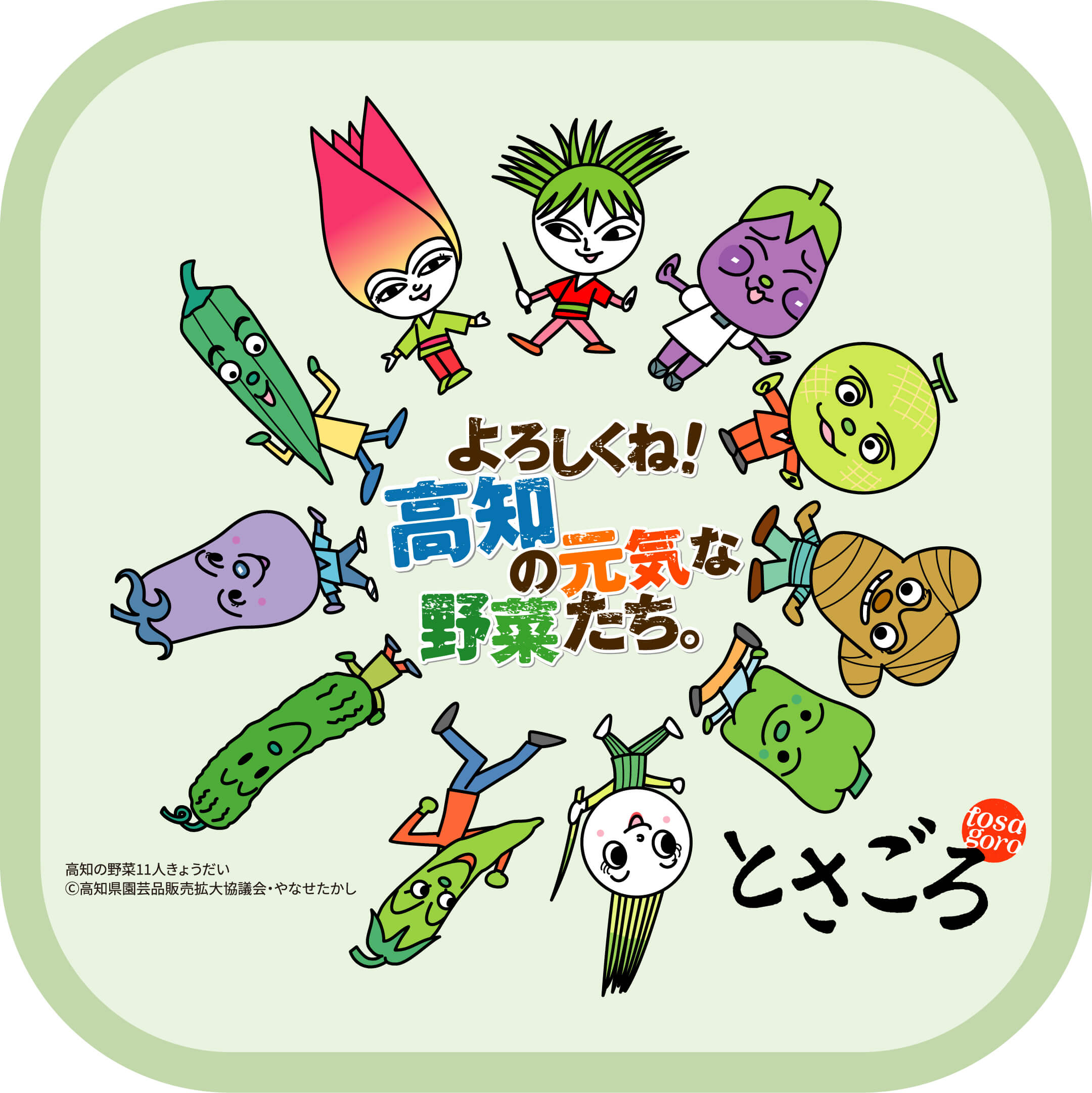 高知の野菜11人きょうだい