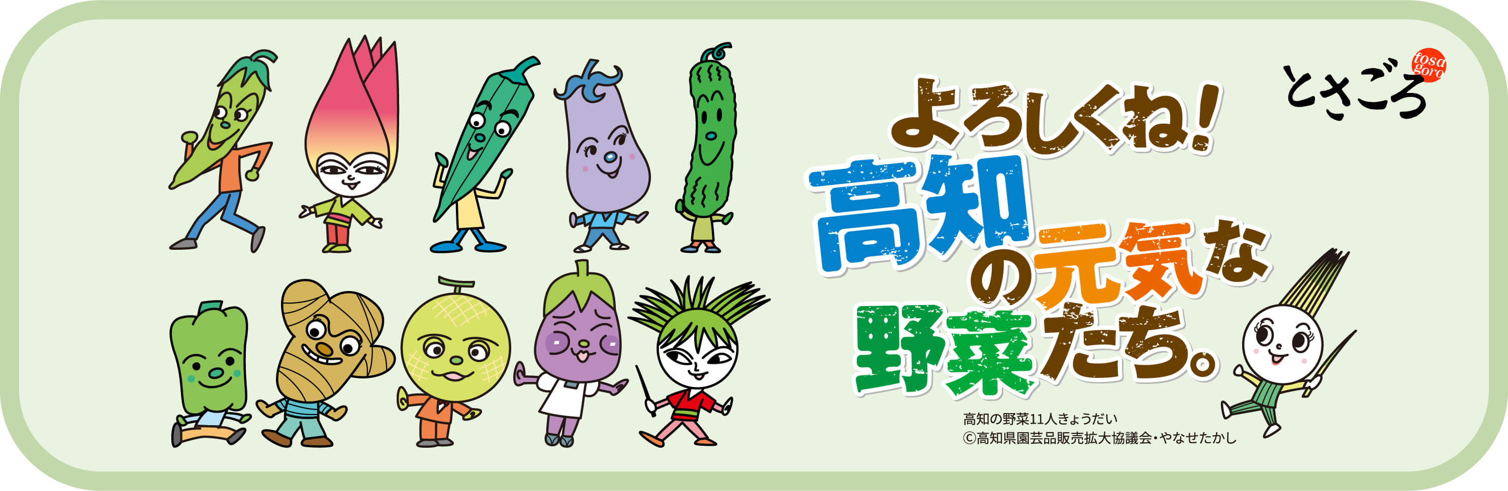 高知の野菜11人きょうだい